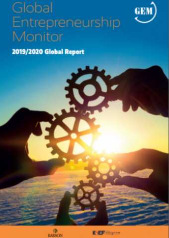 Global Entrepreneurship Monitor 2019-2020